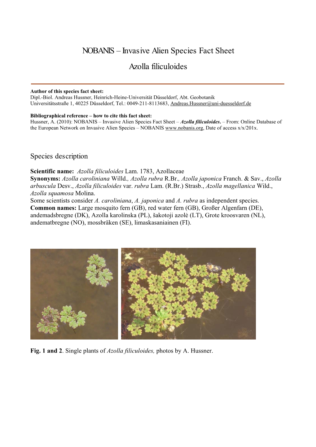 NOBANIS – Invasive Alien Species Fact Sheet – Azolla Filiculoides