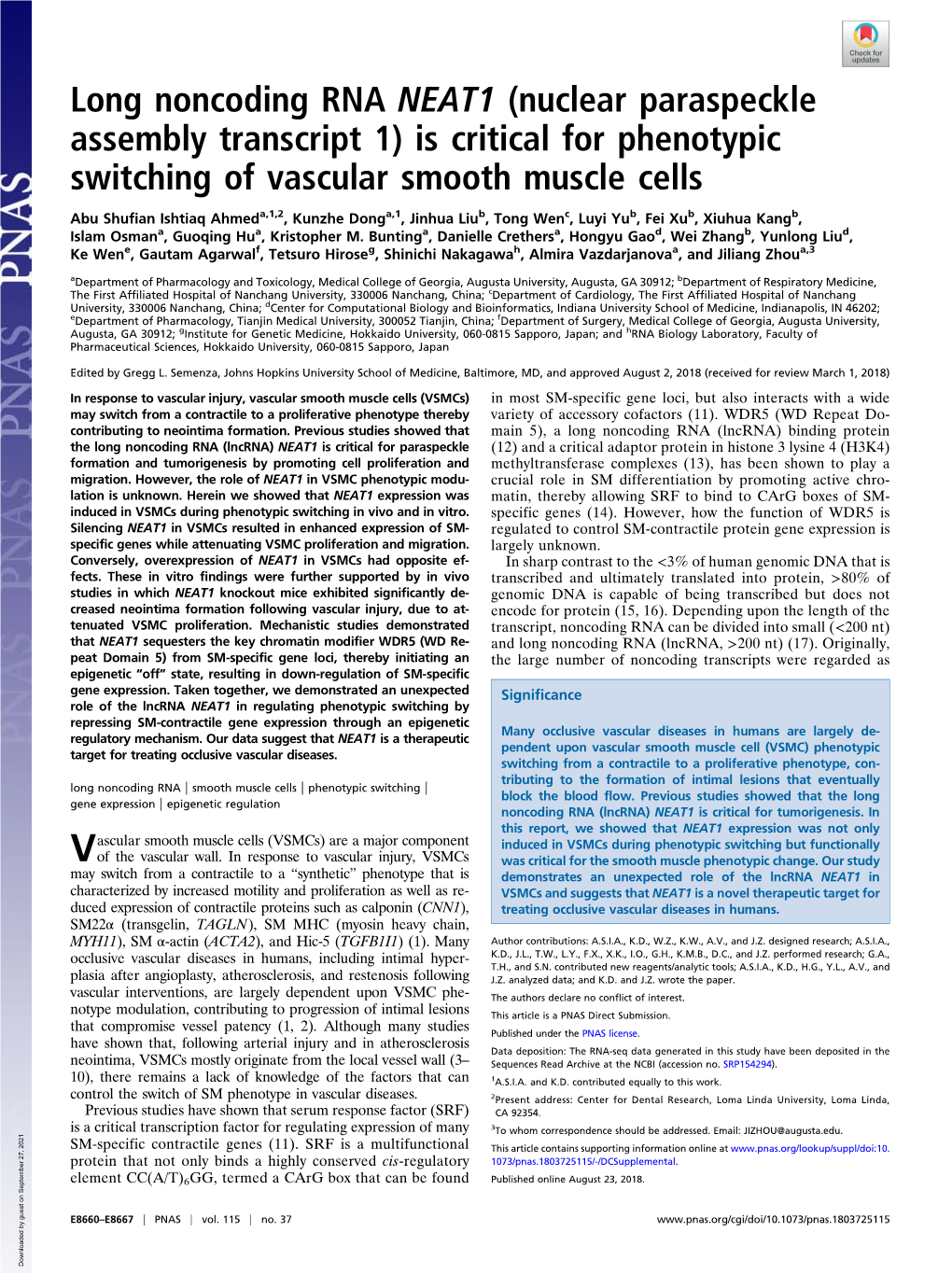 Long Noncoding RNA NEAT1 (Nuclear Paraspeckle Assembly Transcript 1) Is Critical for Phenotypic Switching of Vascular Smooth Muscle Cells