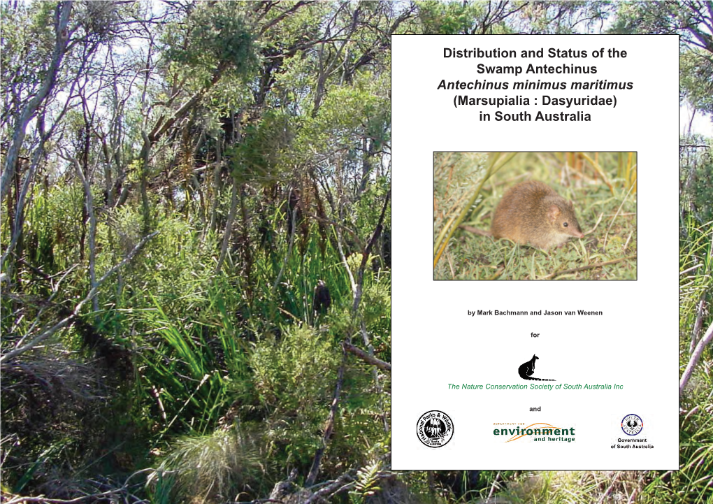 Distribution and Status of the Swamp Antechinus Antechinus Minimus Maritimus (Marsupialia : Dasyuridae) in South Australia