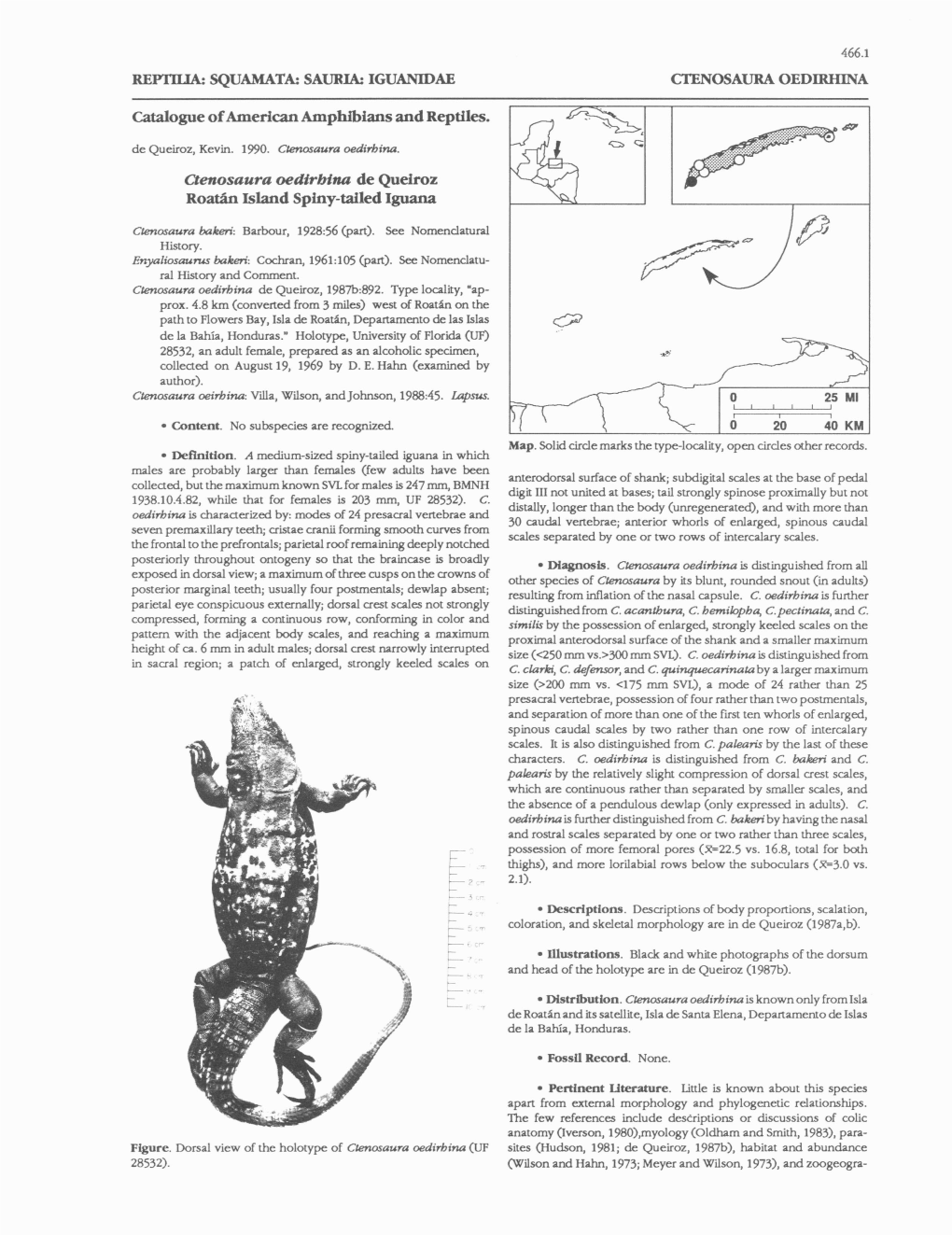 Catalogue of American Amphibians and Reptiles. Ctenosaura Oedirbina