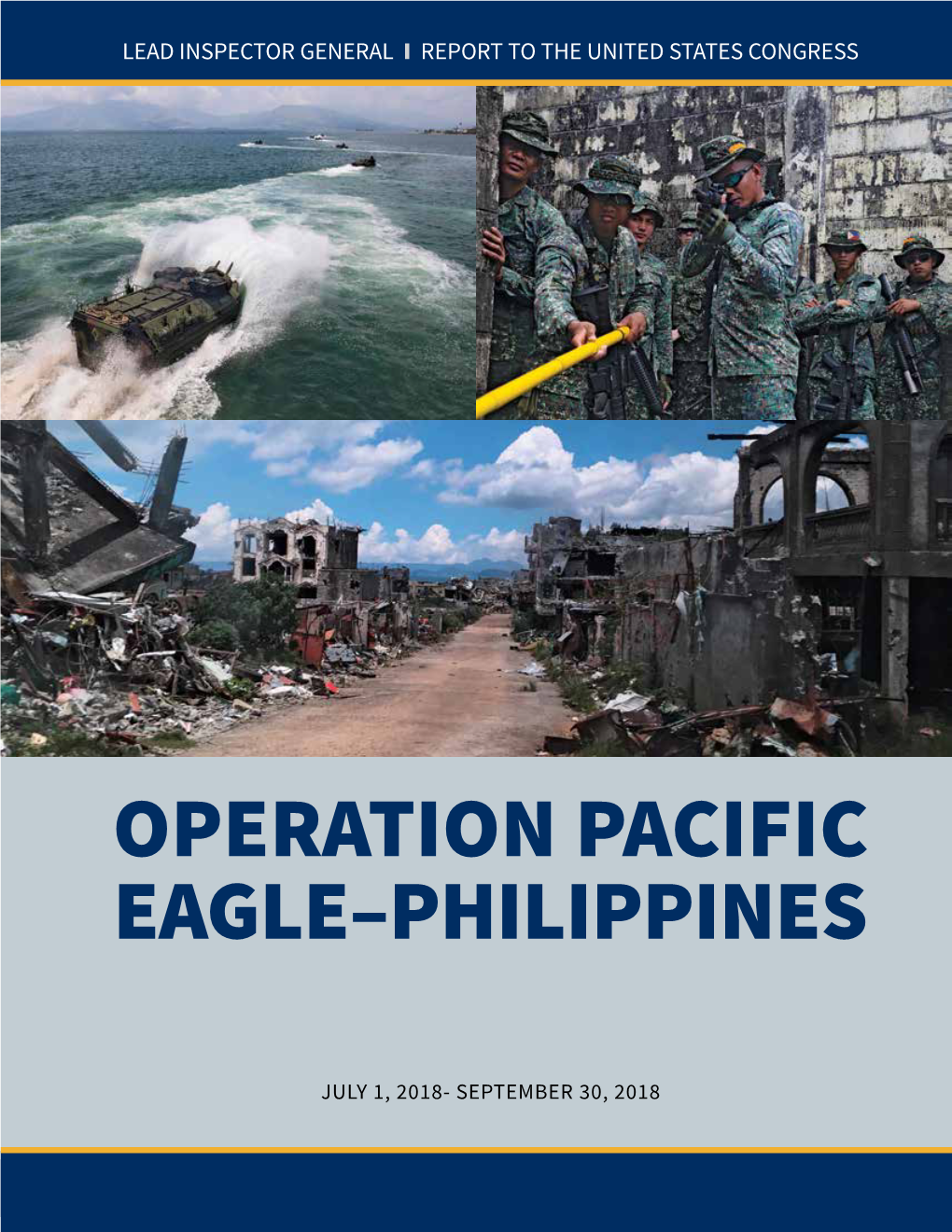 Operation Pacific Eagle-Philippines, Report to the United States
