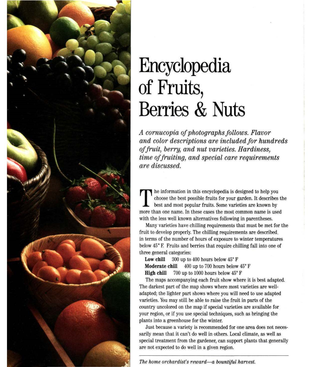 Encyclopedia of Fruits, Berries & Nuts