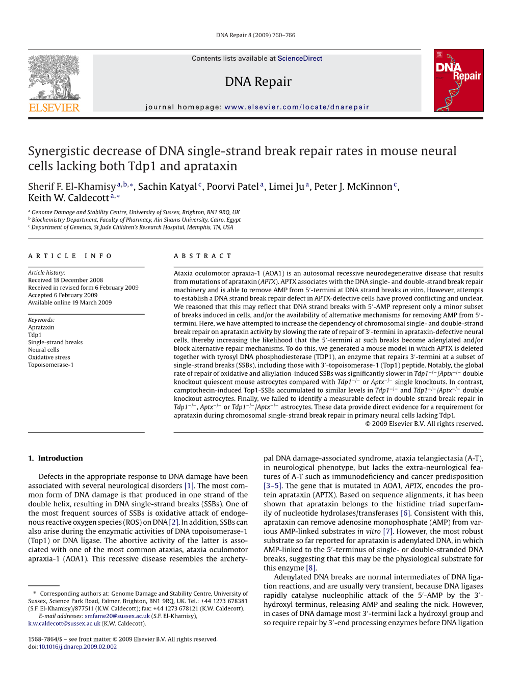 DNA Repair Synergistic Decrease of DNA Single-Strand Break Repair