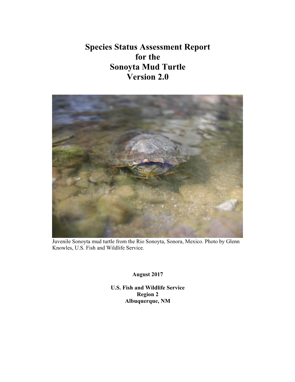 Species Status Assessment Report for the Sonoyta Mud Turtle Version 2.0