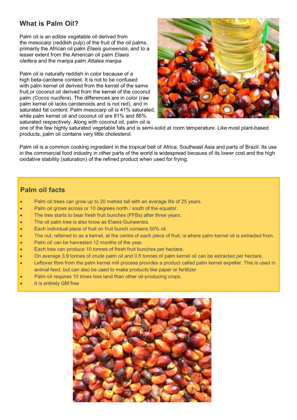 Palm Oil Facts