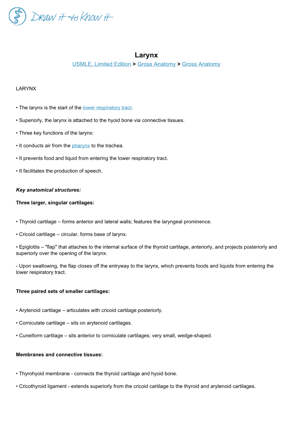 Larynx USMLE, Limited Edition > Gross Anatomy > Gross Anatomy