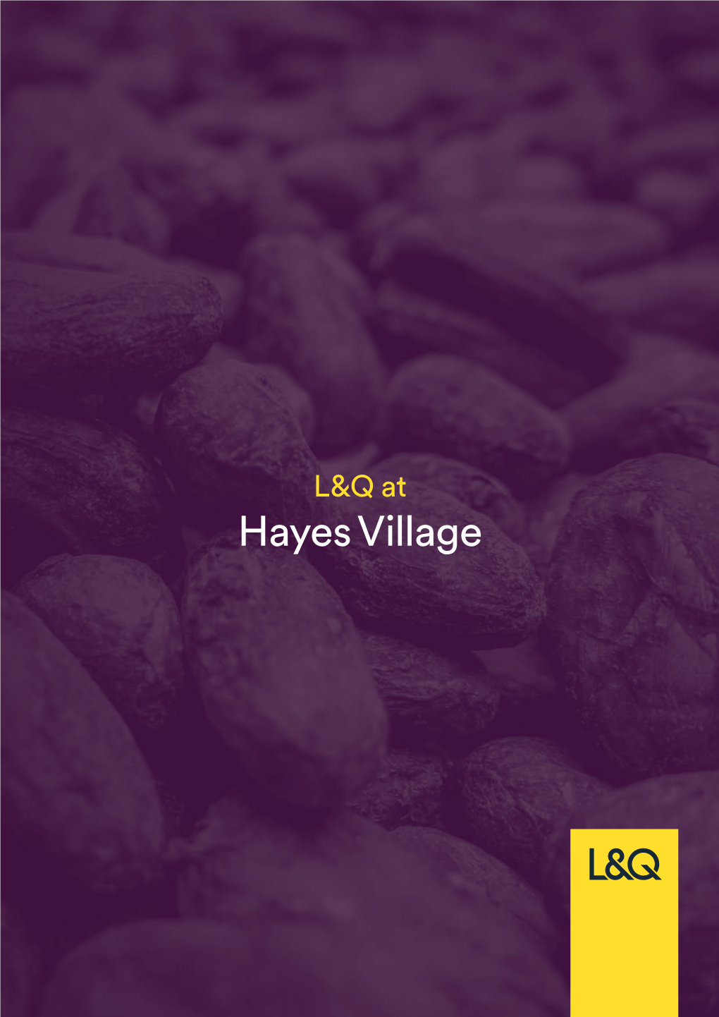 Hayes Village Introduction