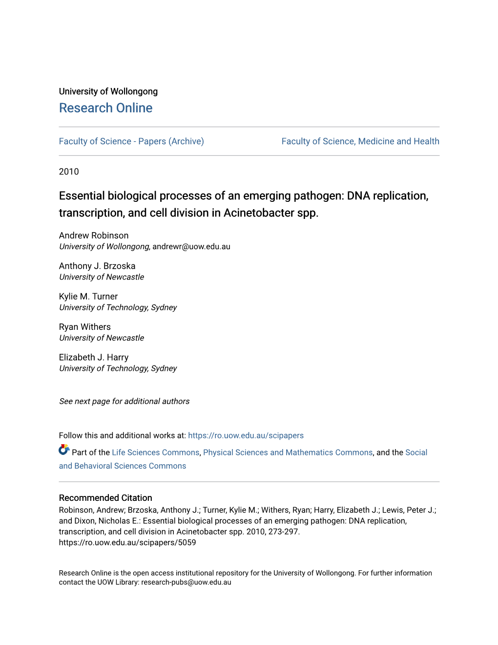 DNA Replication, Transcription, and Cell Division in Acinetobacter Spp