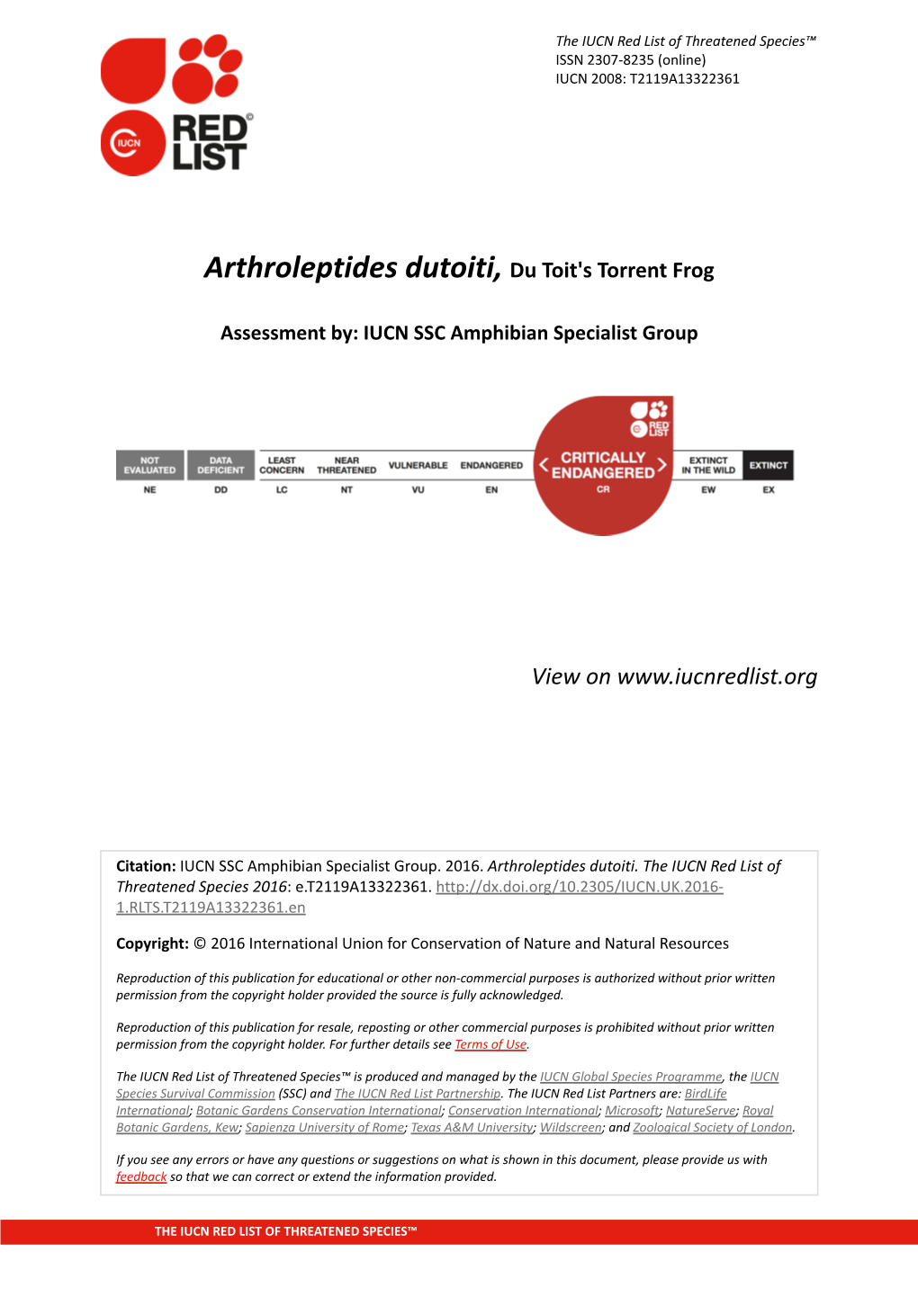 Arthroleptides Dutoiti, Du Toit's Torrent Frog