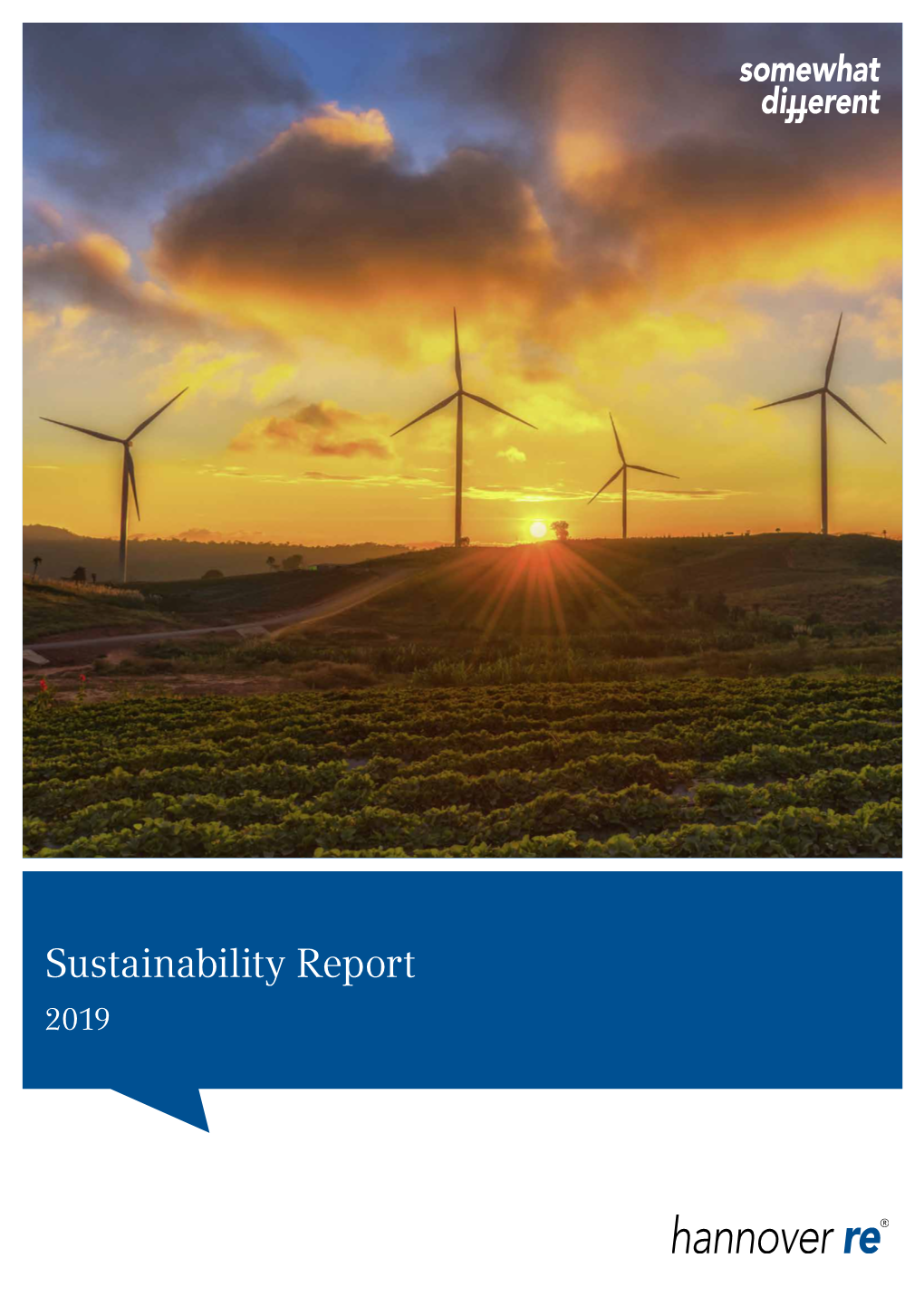 Sustainability Report 2019 About Us