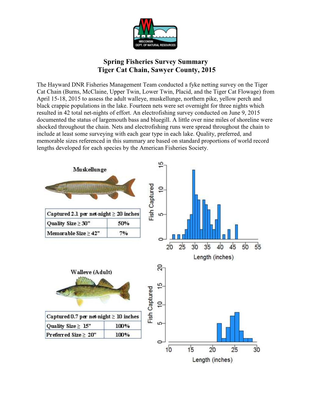 Spring Fisheries Survey Summary Tiger Cat Chain, Sawyer County, 2015