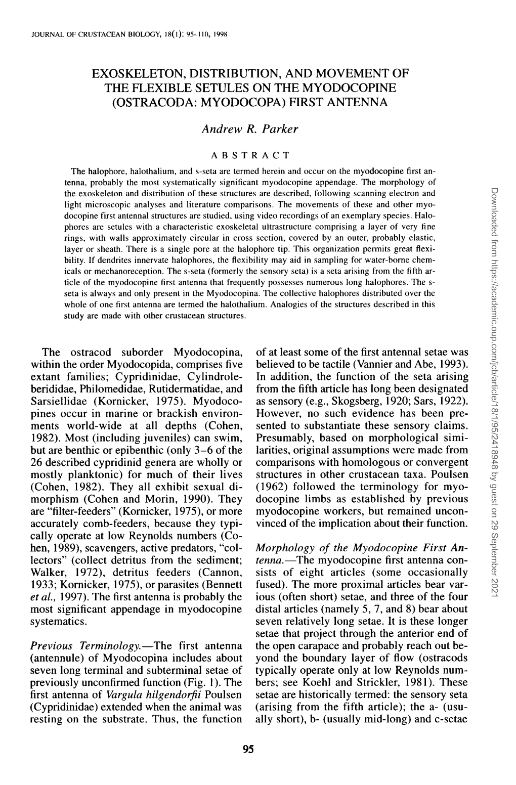 Exoskeleton, Distribution, and Movement of the Flexible Setules on the Myodocopine (Ostracoda: Myodocopa) First Antenna