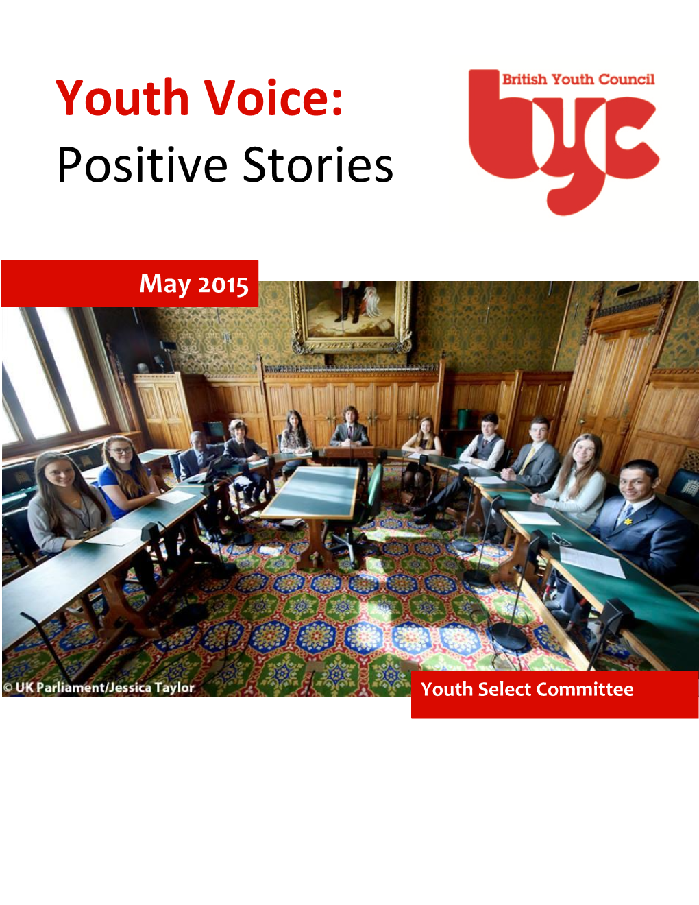 Youth Voice: Positive Stories