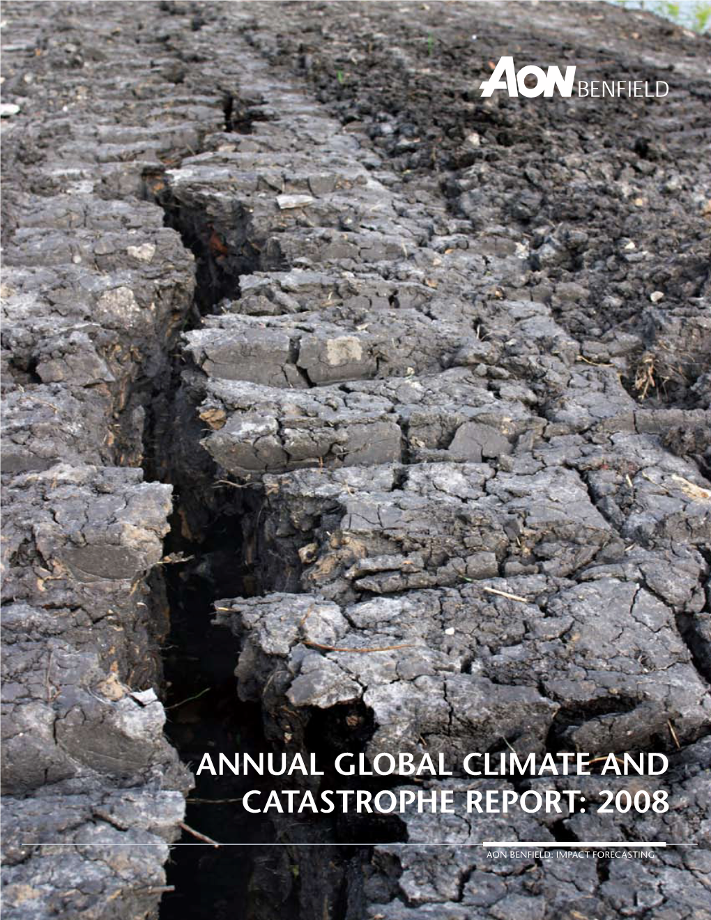 Annual Global Climate and Catastrophe Report: 2008
