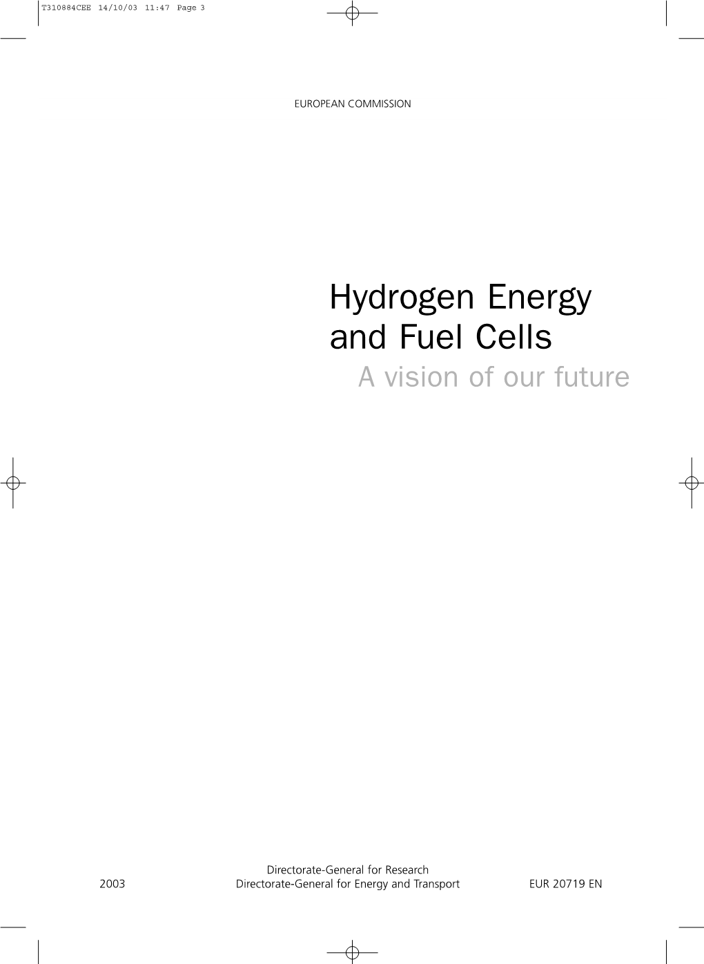 Hydrogen Energy and Fuel Cells a Vision of Our Future