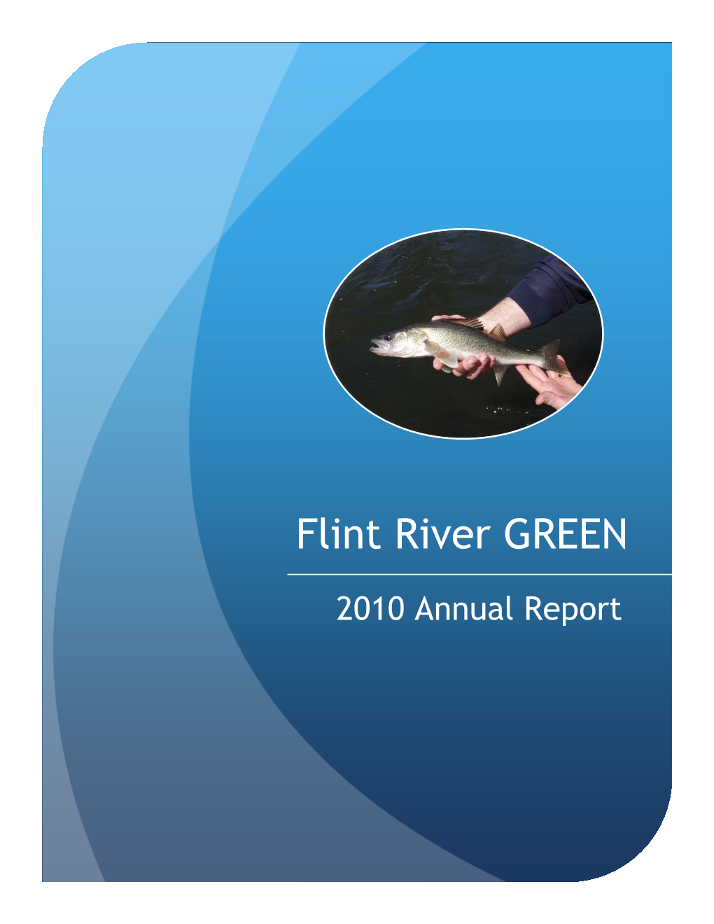 2010 Annual Report