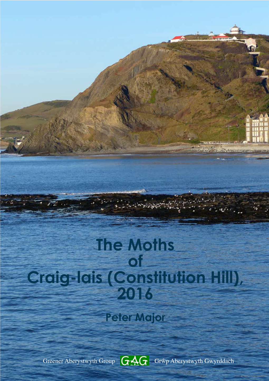 The Moths of Craig-Lais (Constitution Hill), 2016 Peter Major