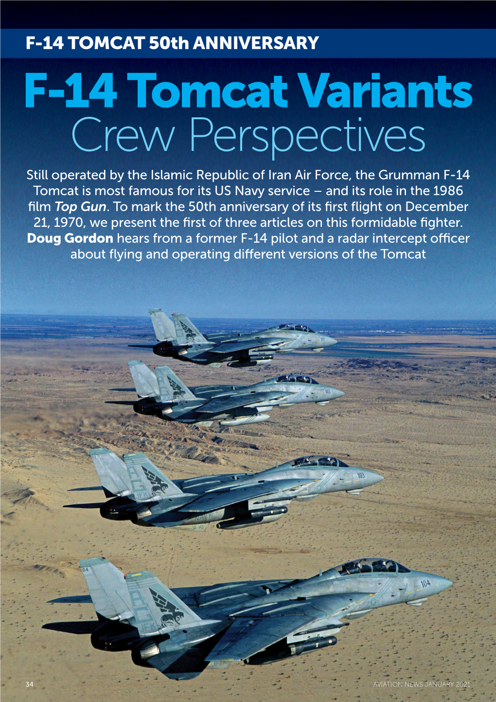 F-14 Tomcat Variants Crew Perspectives