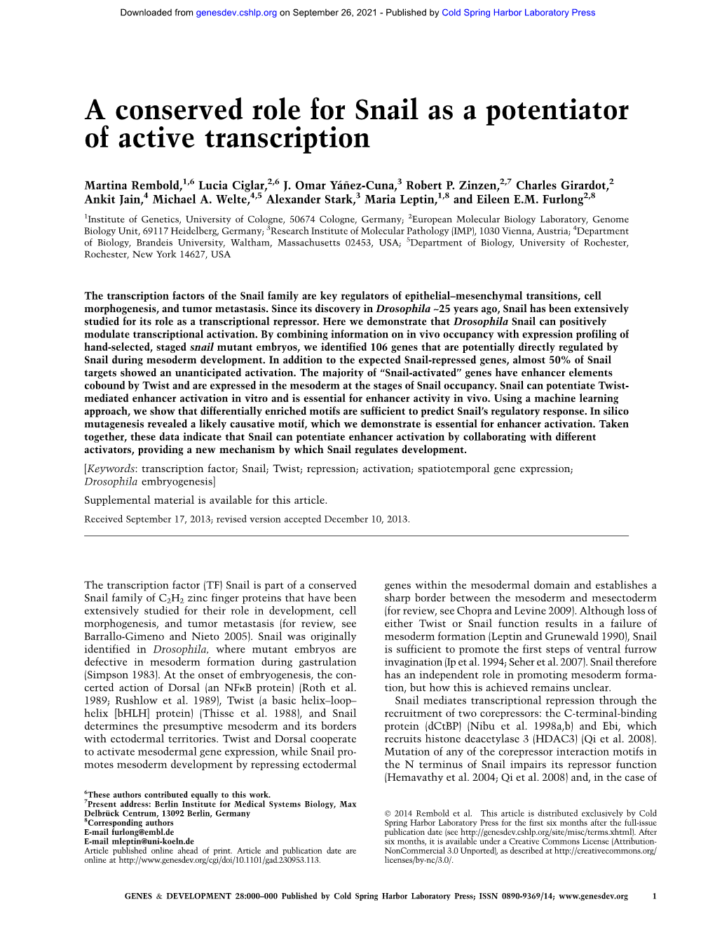 A Conserved Role for Snail As a Potentiator of Active Transcription