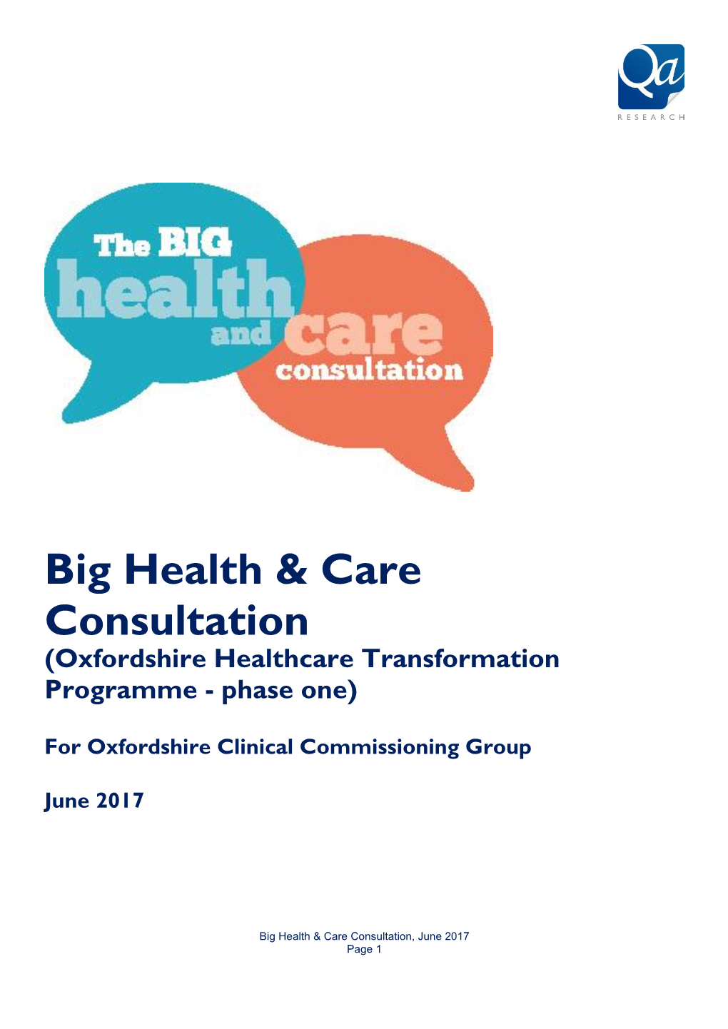 Consultation Report