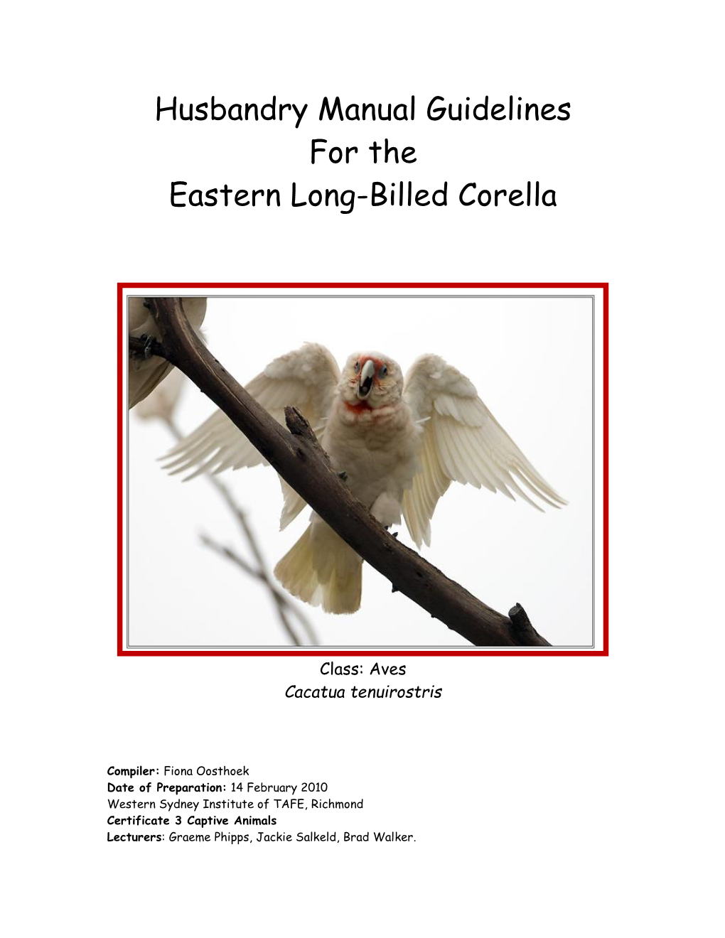 Husbandry Manual Guidelines for the Eastern Long-Billed Corella