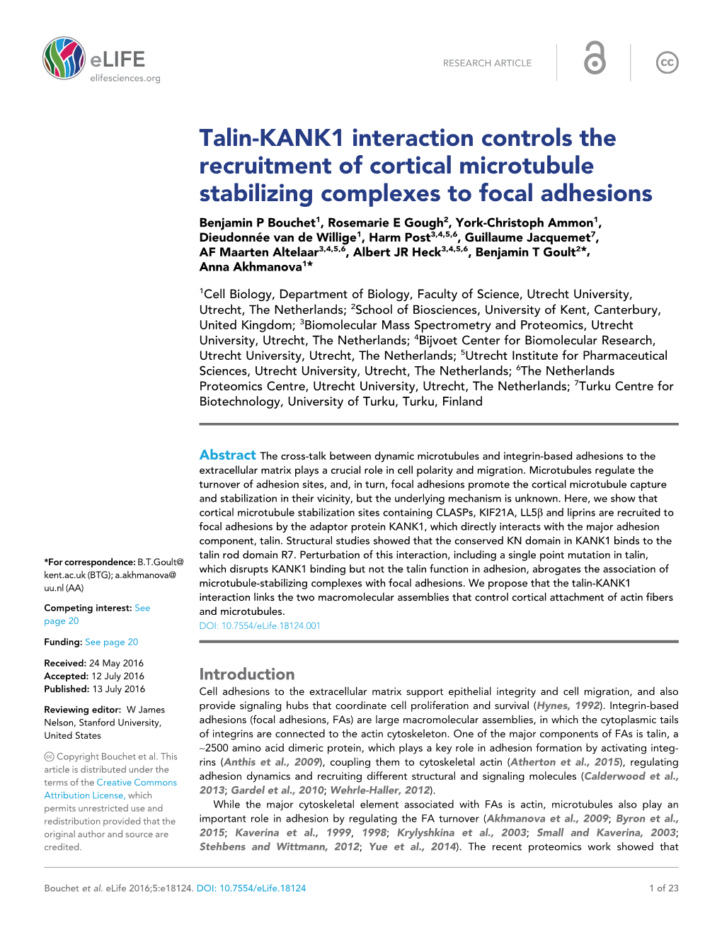 Talin-KANK1 Interaction Controls the Recruitment of Cortical Microtubule