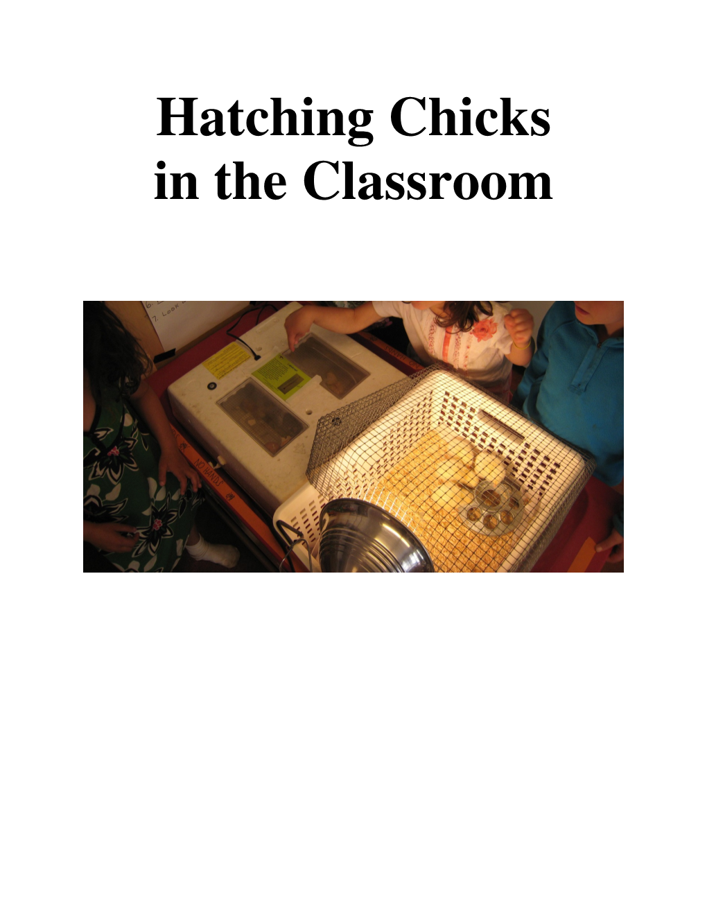 Hatching Chicks in the Classroom