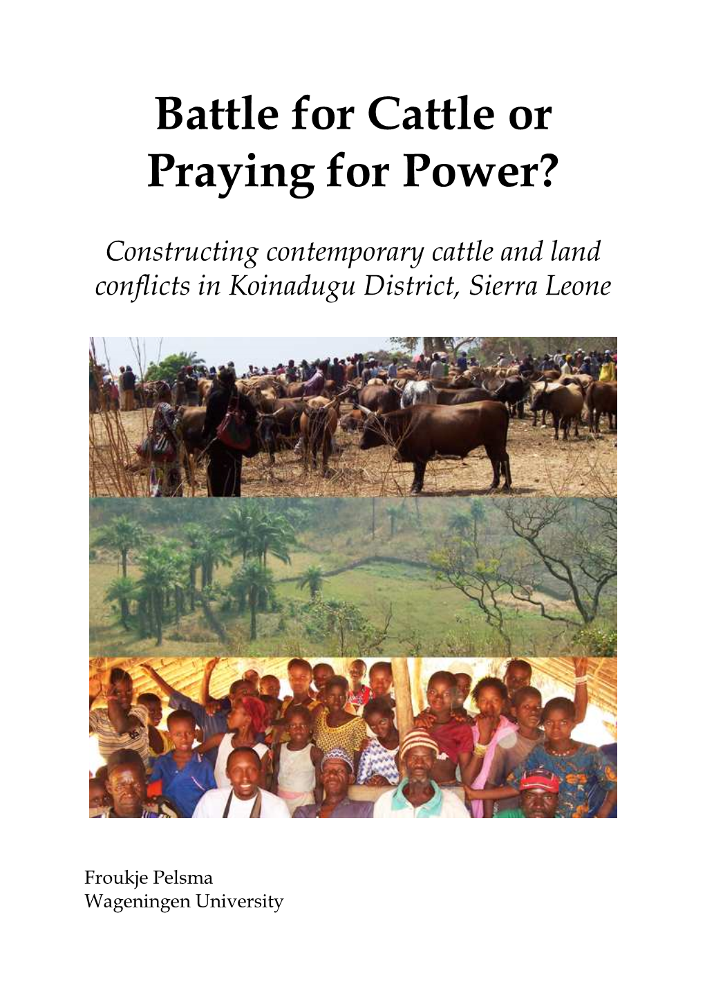Constructing Contemporary Cattle and Land Conflicts in Koinadugu District, Sierra Leone