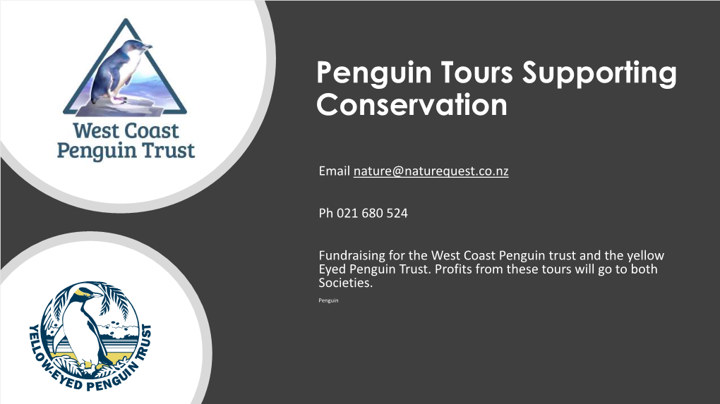 Penguin Tours Supporting Conservation