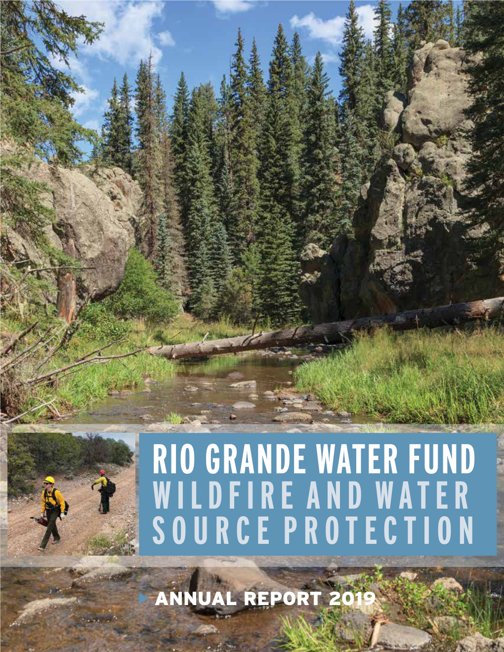 Rio Grande Water Fund Wildfire and Water Source Protection