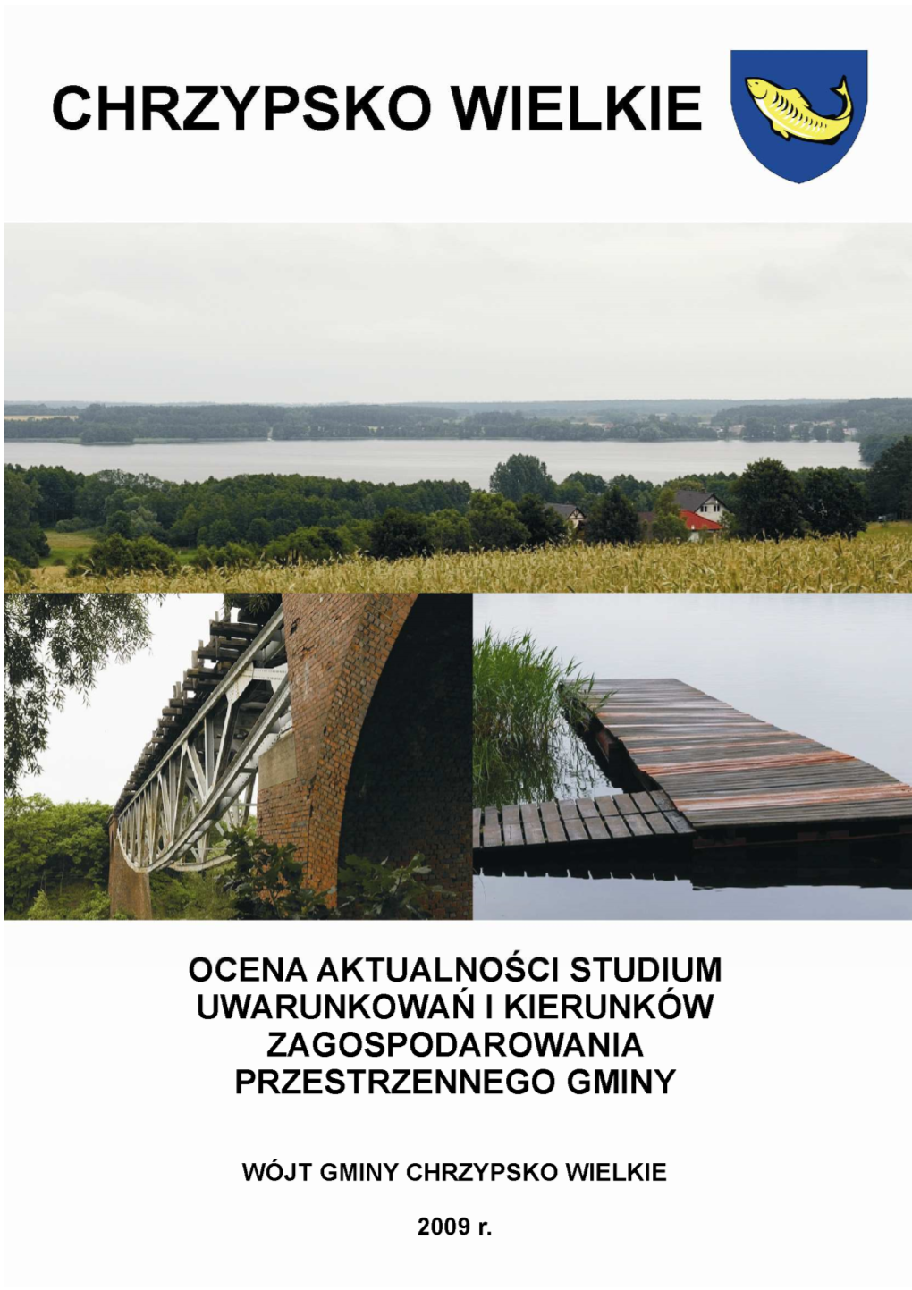 Ocena Aktualnosci Studium Chrzysko Wielkie 2009