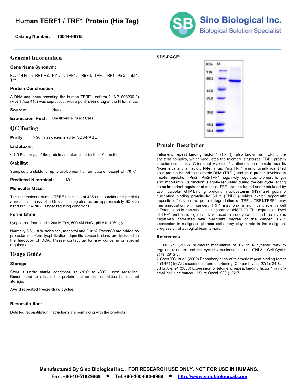 Human TERF1 / TRF1 Protein (His Tag)