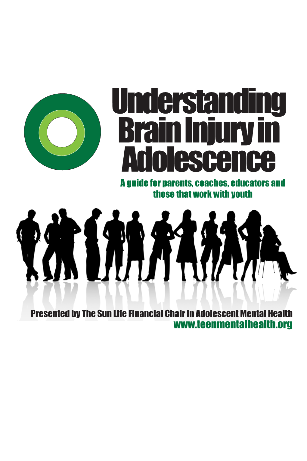 Understanding Brain Injury in Adolescence a Guide for Parents, Coaches, Educators and Those That Work with Youth