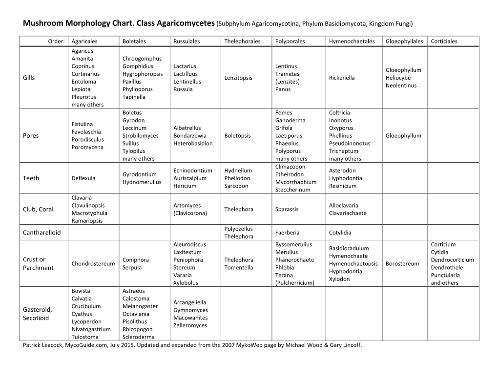 Mushroom Morphology Chart. Class Agaricomycetes(Subphylum