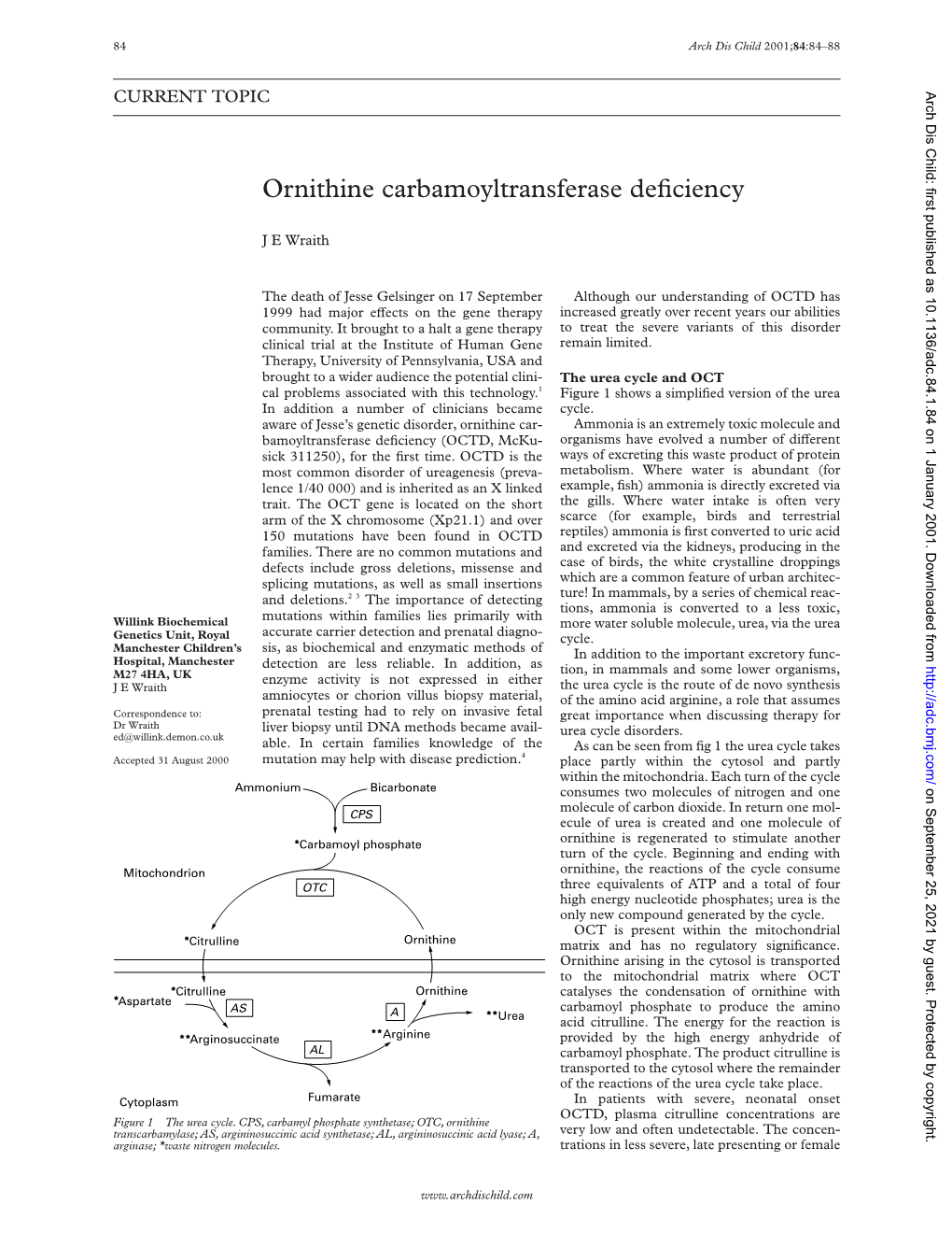 Ornithine Carbamoyltransferase Deficiency