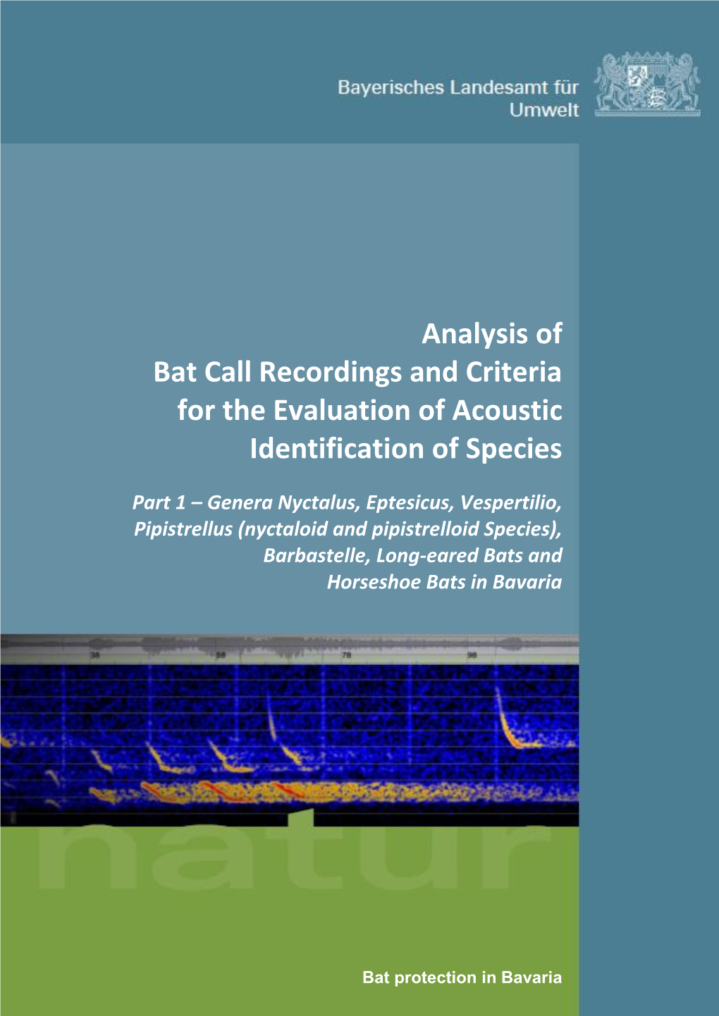 Analysis of Bat Call Recordings and Criteria for the Evaluation of Acoustic Identification of Species