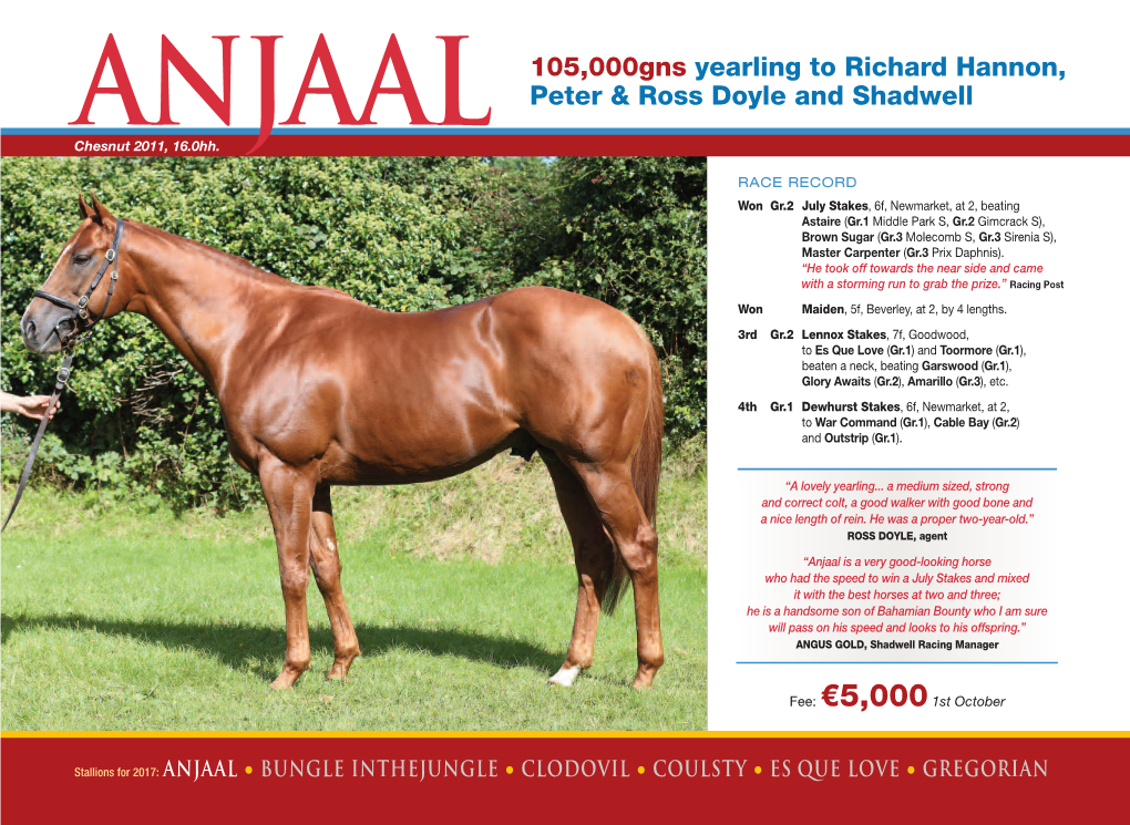 Anjaal 105,000Gns Yearling to Richard Hannon, Peter & Ross Doyle And