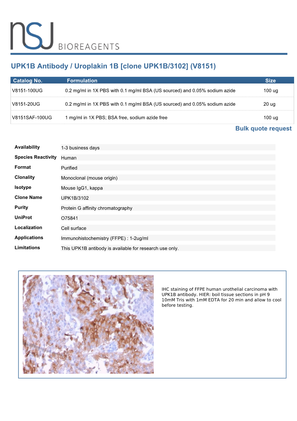 Clone UPK1B/3102] (V8151)