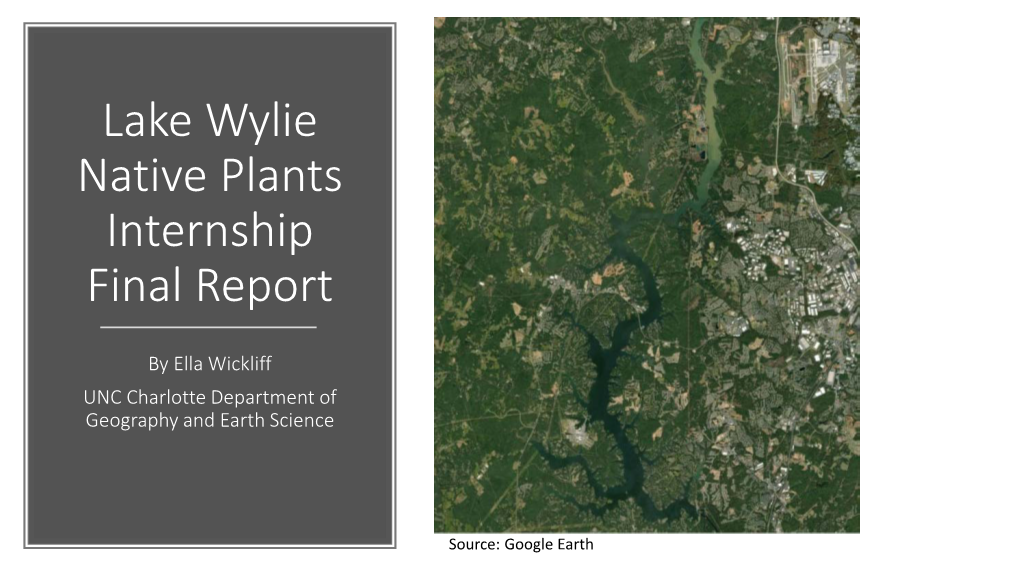 Lake Wylie Native Plants Internship Report