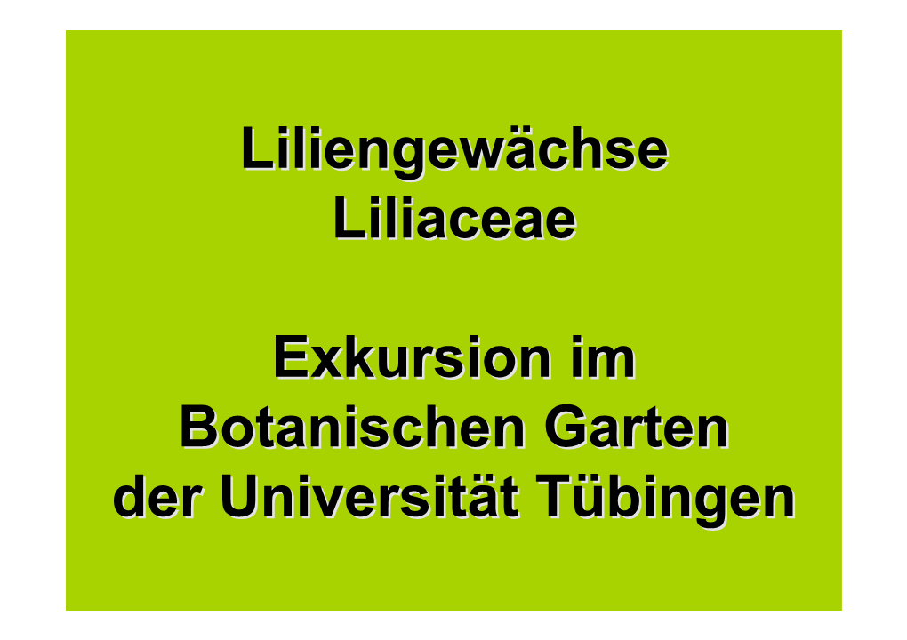 Liliengewächse Liliaceae Exkursion Im Botanischen Garten Der