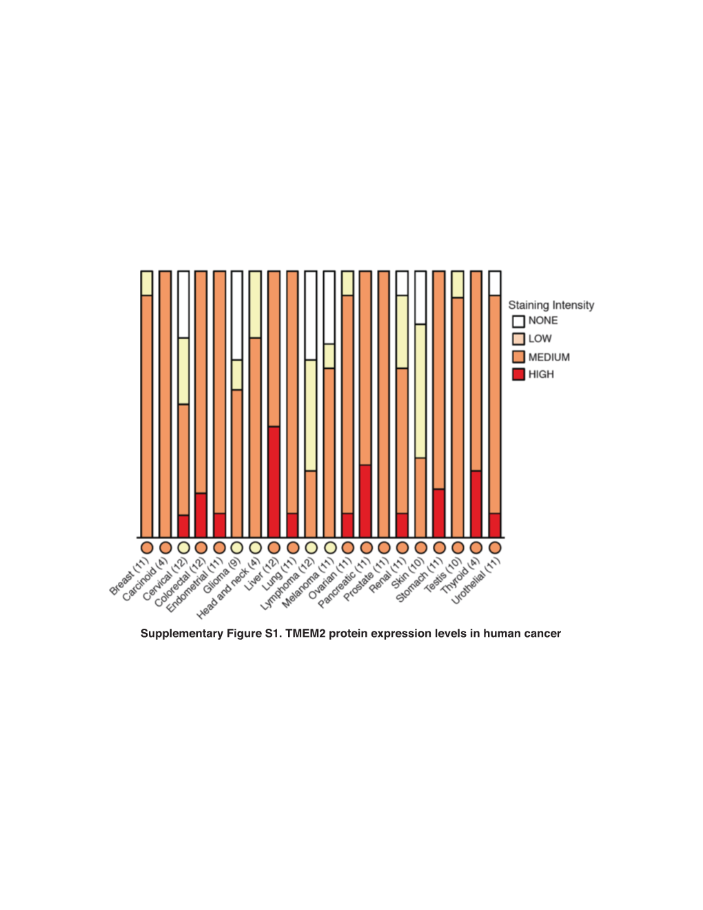 Supplementary Figure S1. TMEM2 Protein Expression Levels in Human