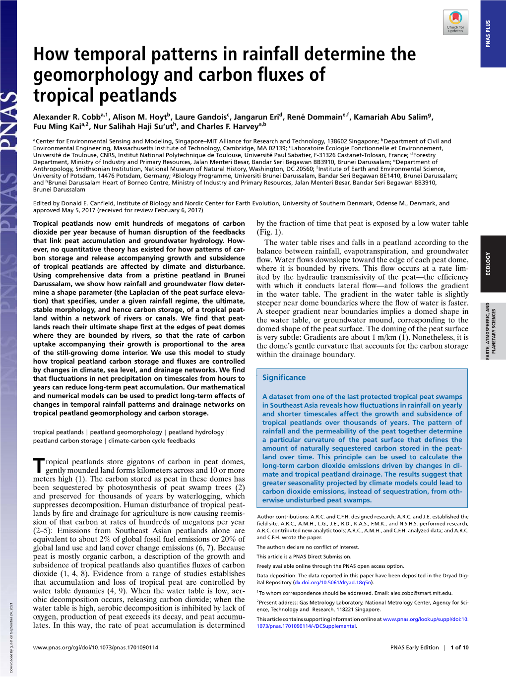 How Temporal Patterns in Rainfall Determine the Geomorphology And