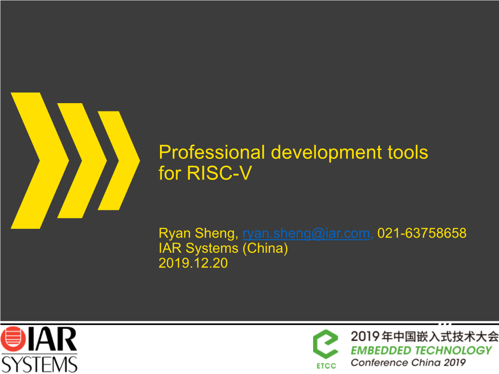 Professional Development Tools for RISC-V