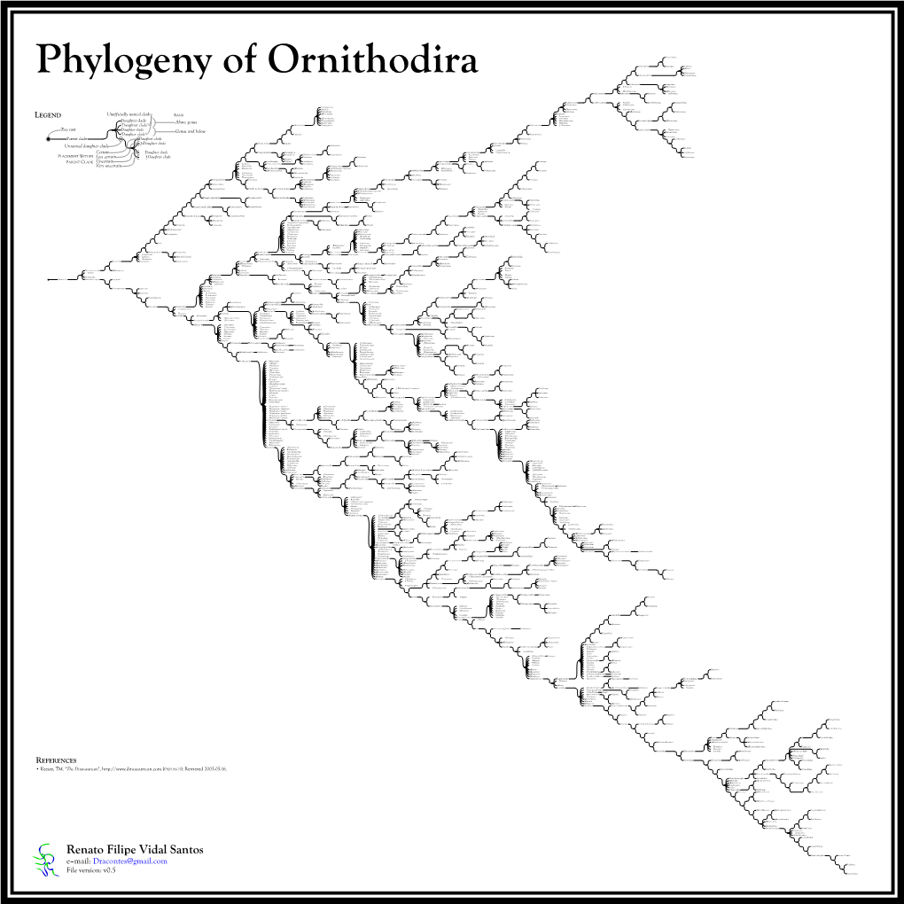 I10-Ornithodira Cladoredo [Converted]