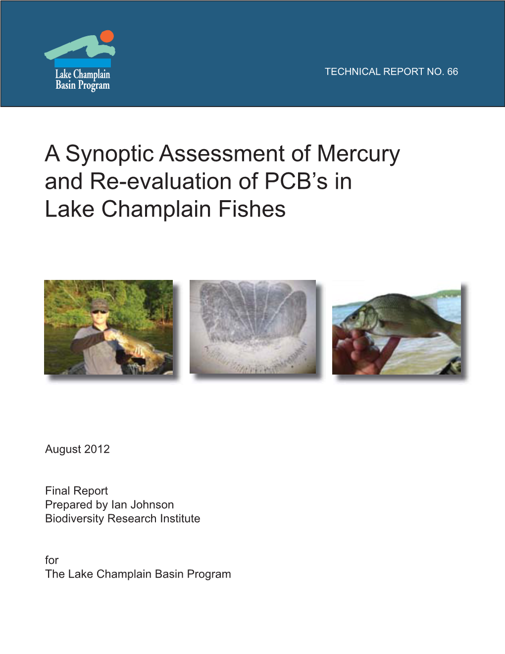 A Synoptic Assessment of Mercury and Re-Evaluation of Pcbs in Lake