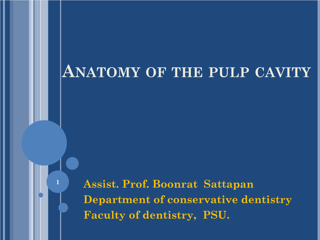 Anatomy of the Pulp Cavity