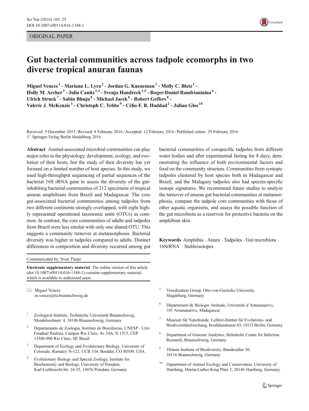 Gut Bacterial Communities Across Tadpole Ecomorphs in Two Diverse Tropical Anuran Faunas