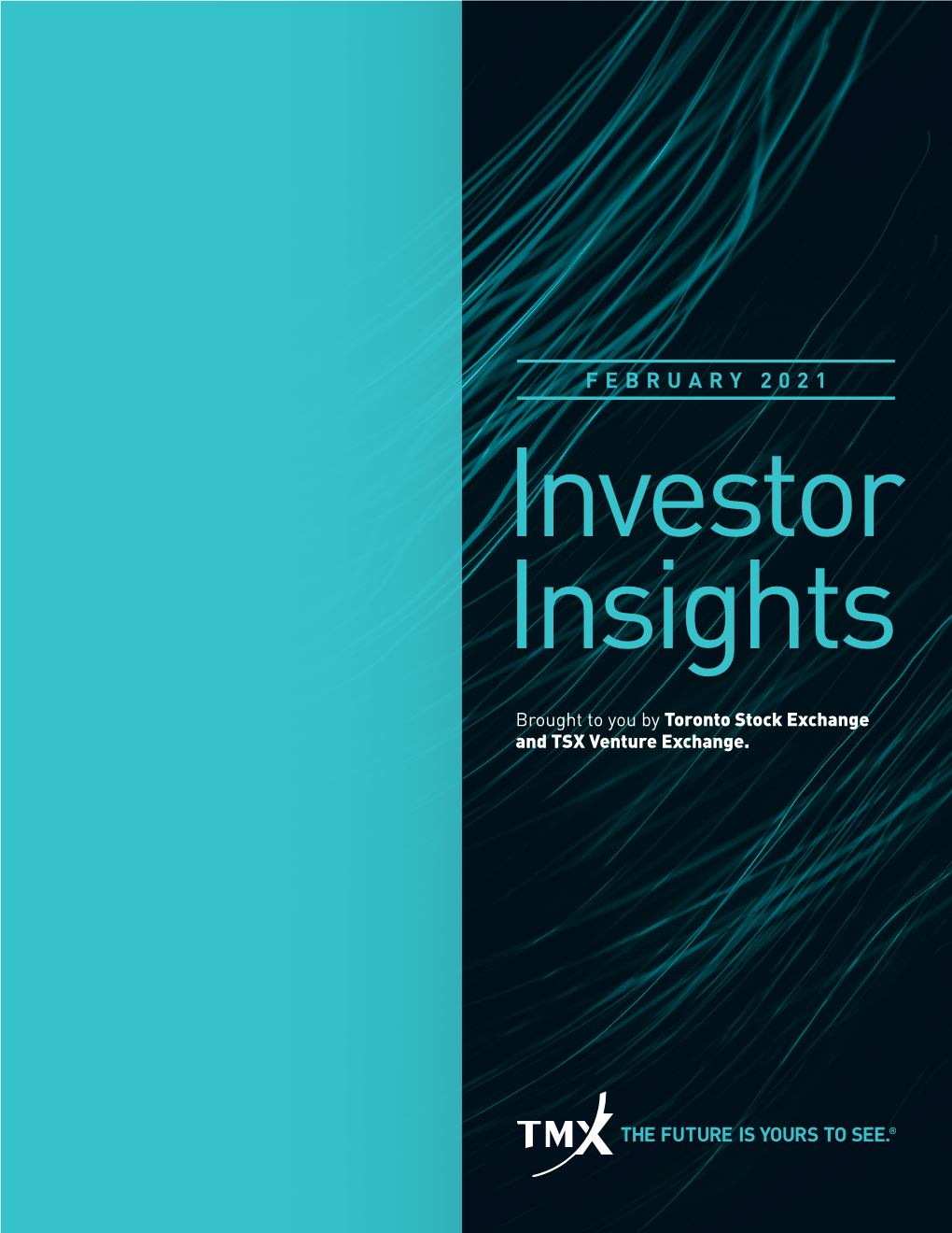 FEBRUARY 2021 Investor Insights