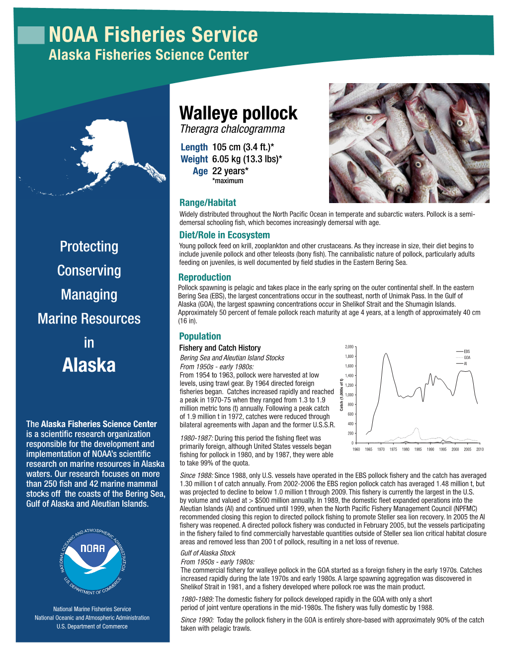 Walleye Pollock Information Sheet