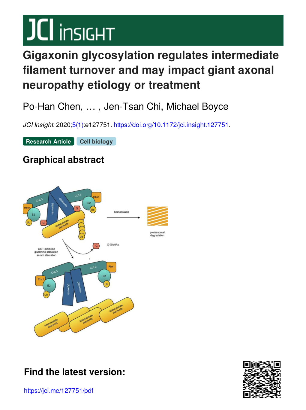 Gigaxonin Glycosylation Regulates Intermediate Filament Turnover and May Impact Giant Axonal Neuropathy Etiology Or Treatment